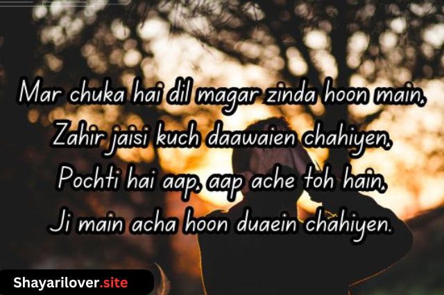 Sad Shayari for Boys