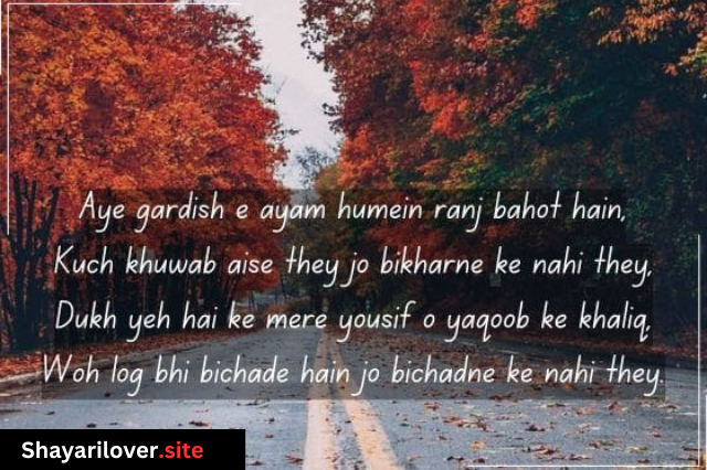 Zindagi Shayari in Hindi