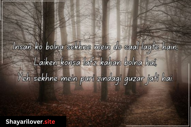 Zindagi Shayari in Hindi